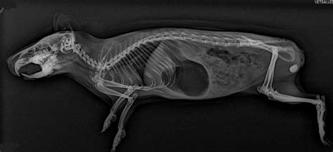 Image result for Retro Mario Pow