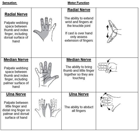 Toradh íomhá ar Functional Hand Movement Disorders