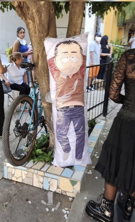 Image result for Stanley Mov Body Pillow