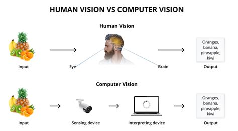 Afbeeldingsresultaten voor Computer Vision vs Eye