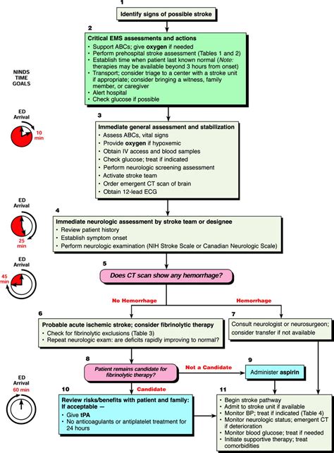 Image result for Stroke Treatment Algorithm
