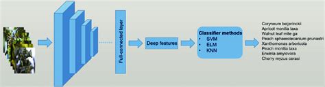 Image result for Deep Learning for Feature Extraction Image