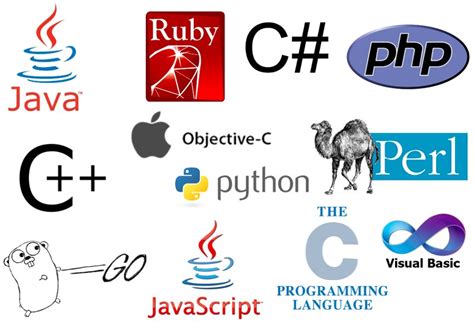 Image result for Contoh Programming Software