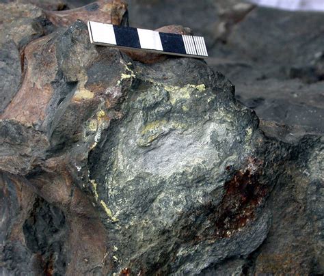 Image result for Oxidized Maroon Pyrite