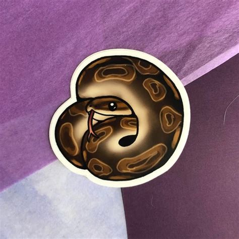 Image result for Python Decal