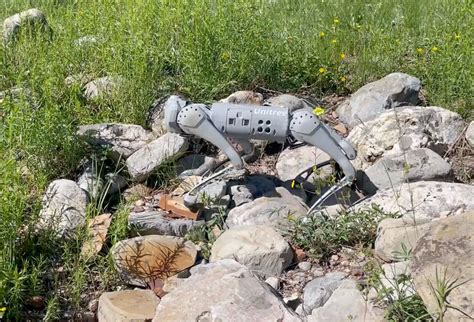 Image result for UniTree Go 1