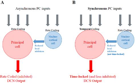 Image result for Synchronous and Asynchronous Inputs