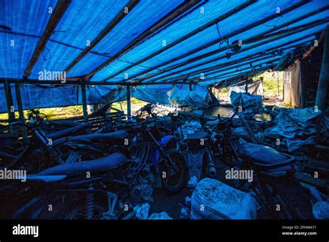 Image result for Java Asia