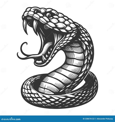 Image result for Snake Open Mouth Vector