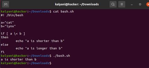 Image result for Bash Shell Script Symbol