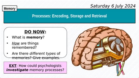 Image result for Memory Processing