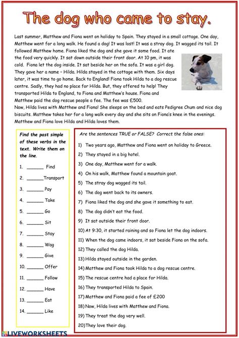 Simple Past Reading Examples に対する画像結果