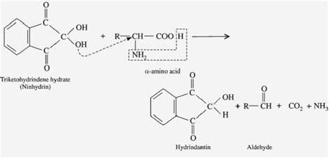 Afbeeldingsresultaten voor Functional Groups of Ninhydrin