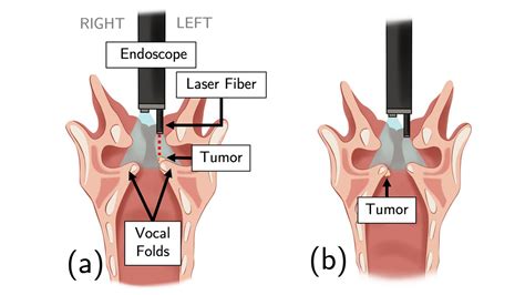 Image result for Medical Imaging Tool Box MATLAB LabVIEW