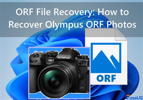 Afbeeldingsresultaten voor File Not Found On Exploit