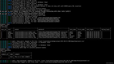 Sqlmap Example 的图像结果