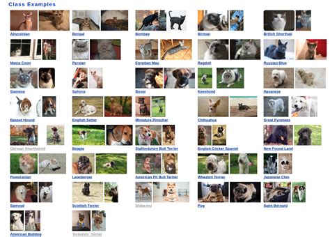 Image result for Pets Classification Dataset