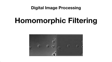 Image result for Homomorphic Filtering