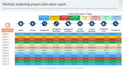 Image result for Multi Project Status Report