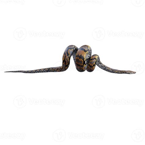 Reticulated Python Head に対する画像結果