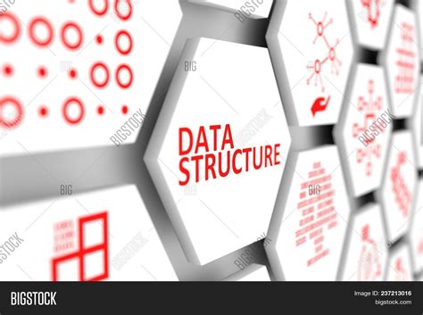 Data Structures and Algorithm Transparent Background に対する画像結果