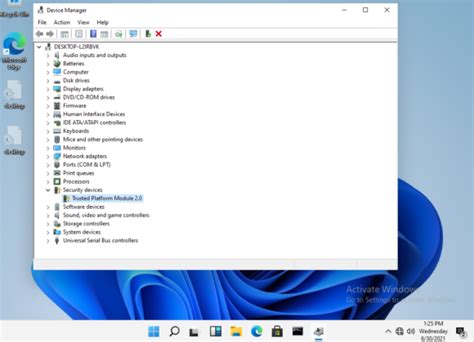Image result for Windows 11 Setup without TPM 2.0