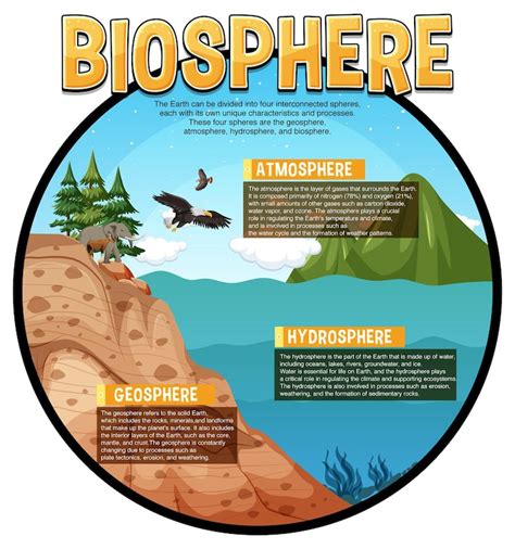 Image result for Biosphere and Hydrosphere