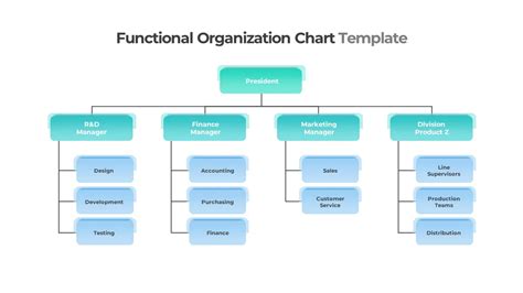 Image result for Function Structure Diagram