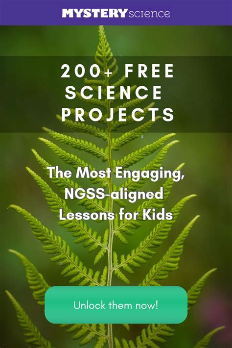 Stem Lessons for Kids に対する画像結果