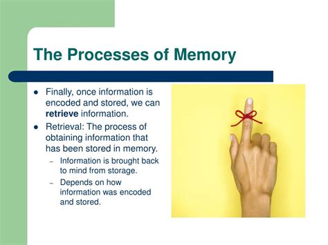 Image result for The Memory Process