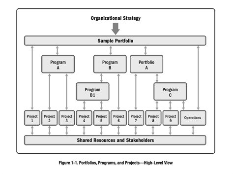 Image result for Program Management Standards