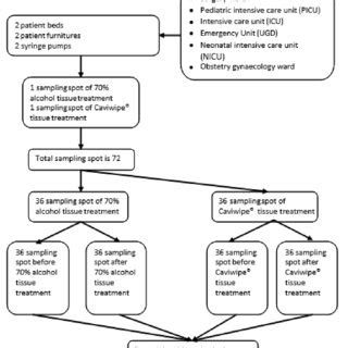 Image result for Algorithm of the Study