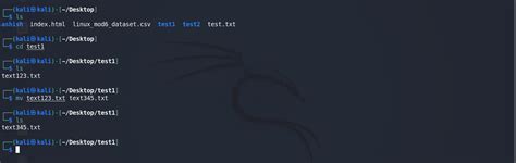Image result for Kali Linux Prompt
