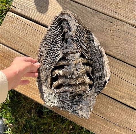 150 Random Objects に対する画像結果