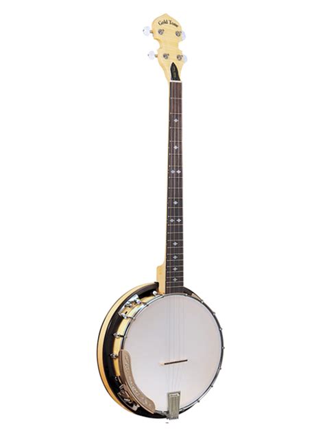 Afbeeldingsresultaten voor 4 String Banjo