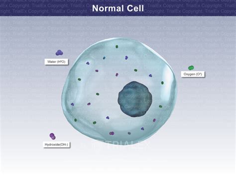 Afbeeldingsresultaten voor Normal Cell Icon