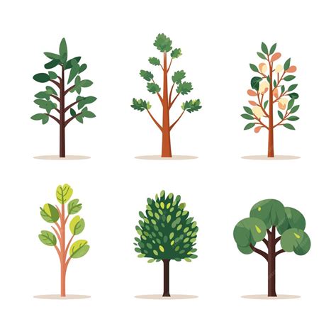 Premium Vector | Six different types cartoon trees against isolated ...