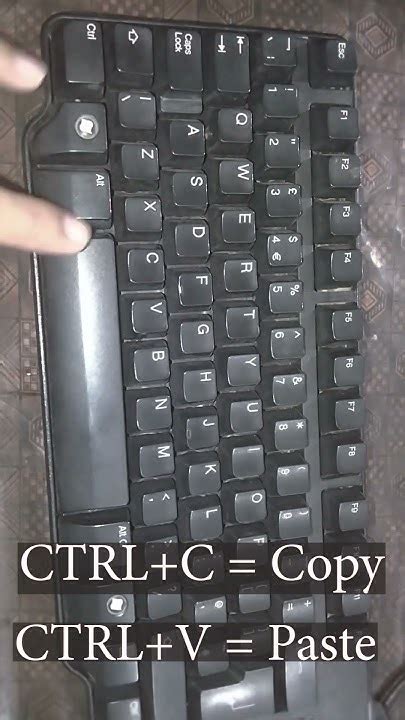 Image result for Copy Paste Shortcut Keys