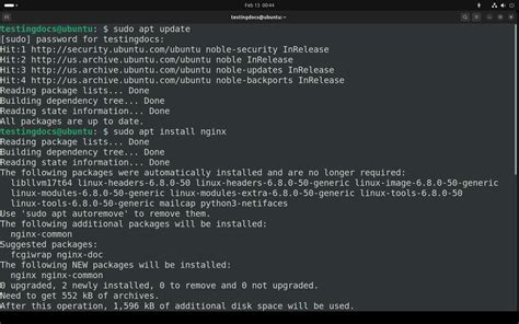 Toradh íomhá ar What Nginx
