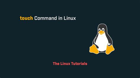 Image result for Usage of Touch Command in Linux