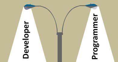 Toradh íomhá ar Difference Between a Programmer and Developer