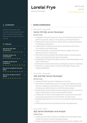 Image result for SQL Server Developer Resume