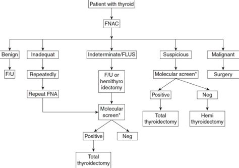 Image result for Thyroid Hormone Algorithm