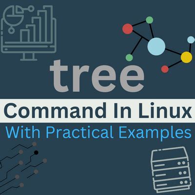 Image result for Linux Dir Tree