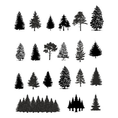 Image result for American Tree SVG Free