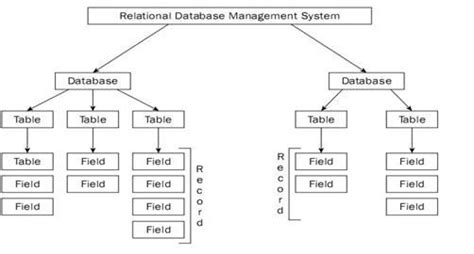 Creating Database Class 10 に対する画像結果