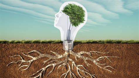 Bildergebnis für Durable Learning Principles