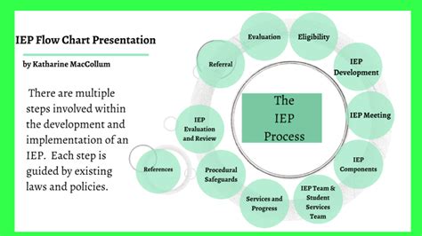 Image result for IEP Process Flow Chart