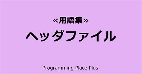 Header File Format に対する画像結果
