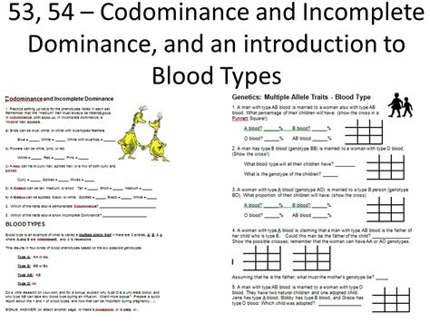 Image result for Codominance Worksheet Blood Types Answers
